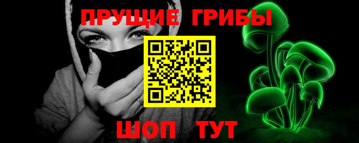 Псилоцибиновые грибы Cubensis Чита