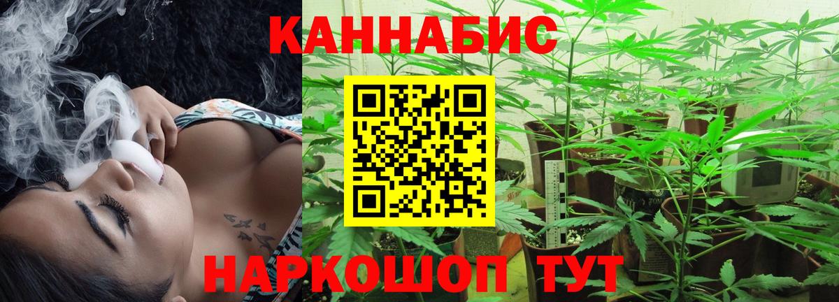 Каннабис планчик Чита